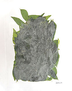 カレーリーフ(ダウンカリ)