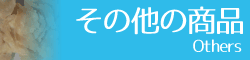 南洋元　その他